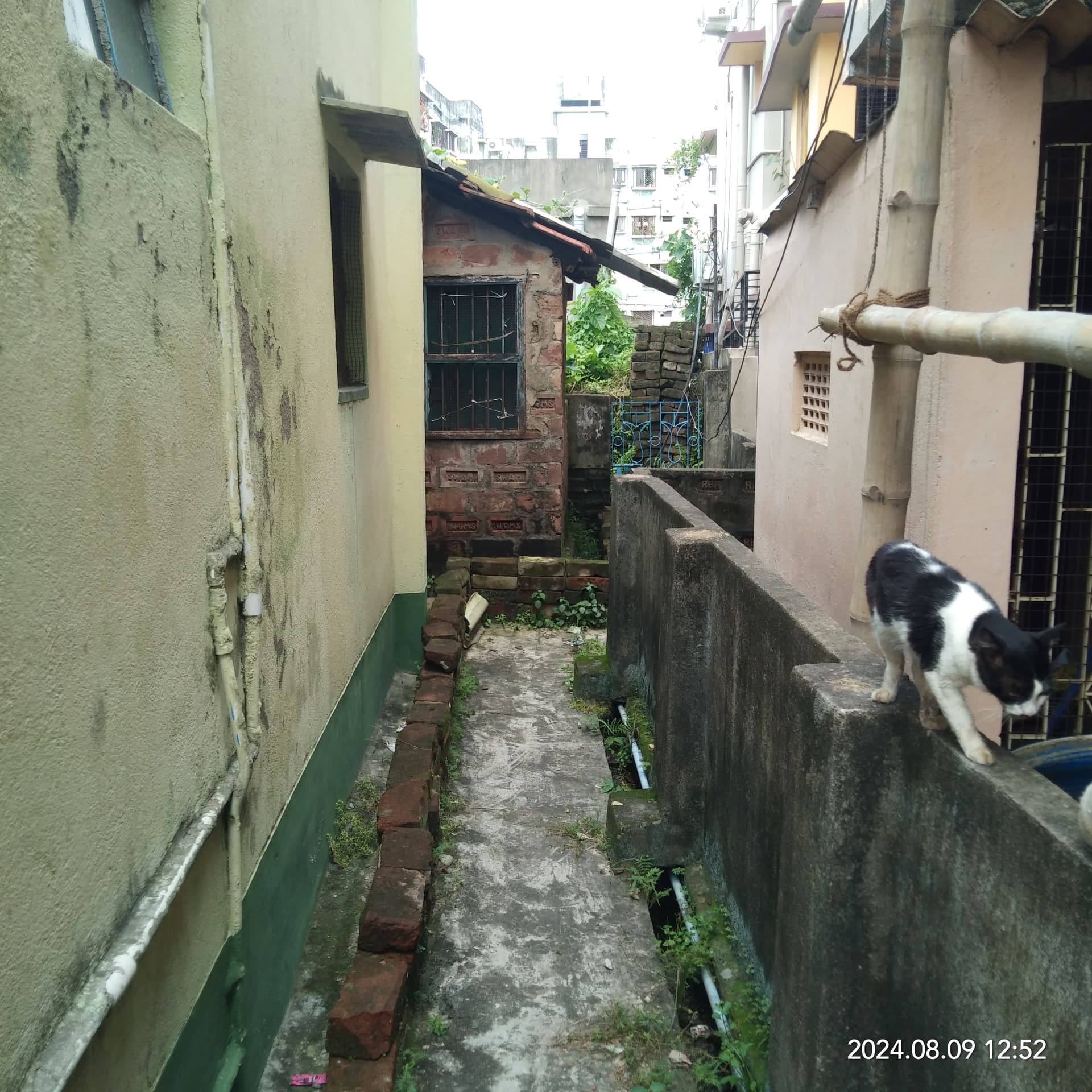Property Photos 2