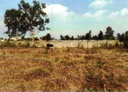 Property Photos 12
