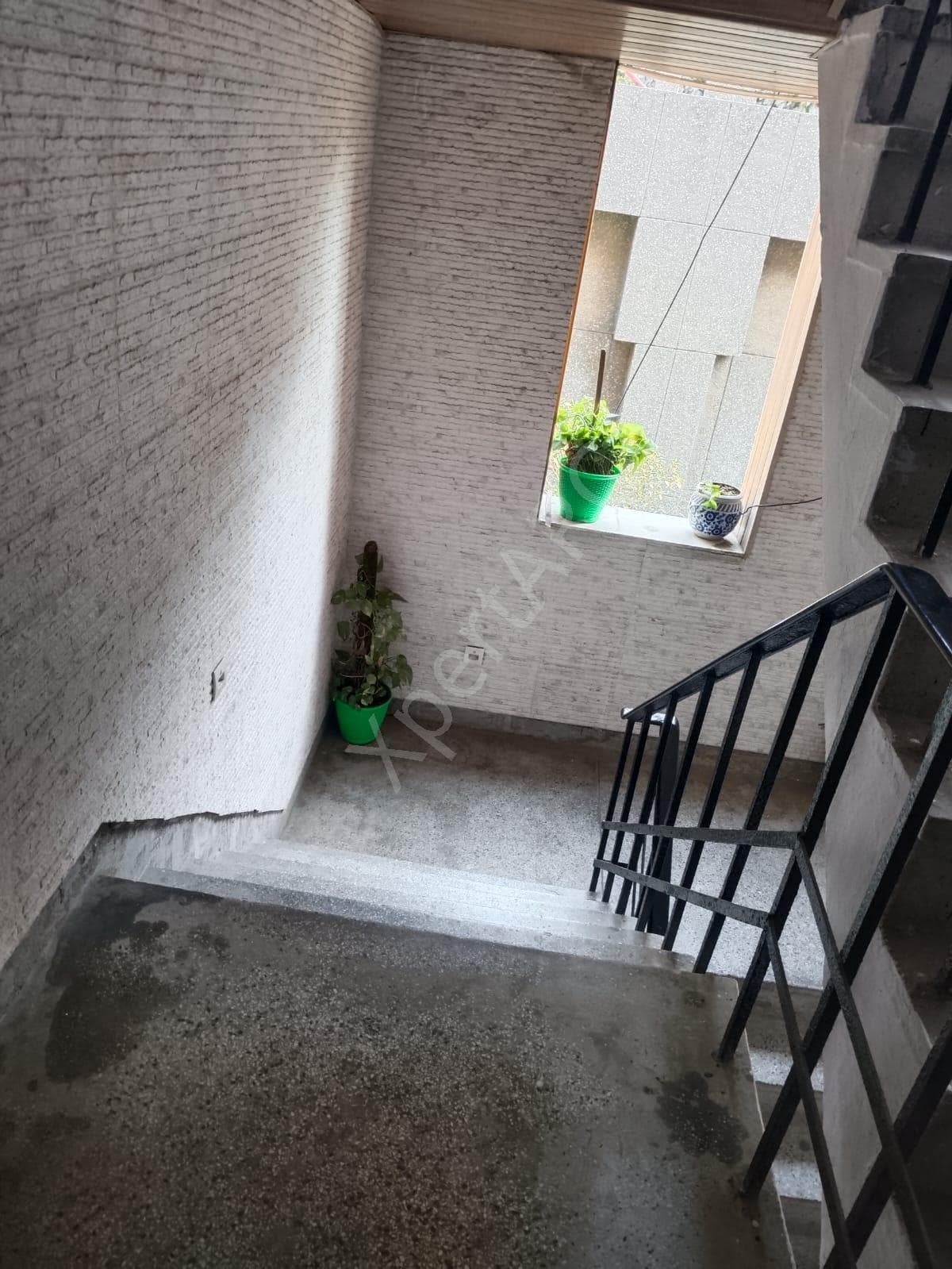 Property Photos 8