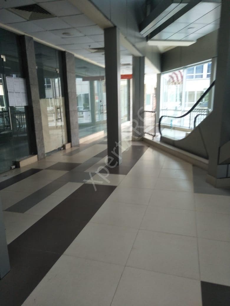 Property Photos 4