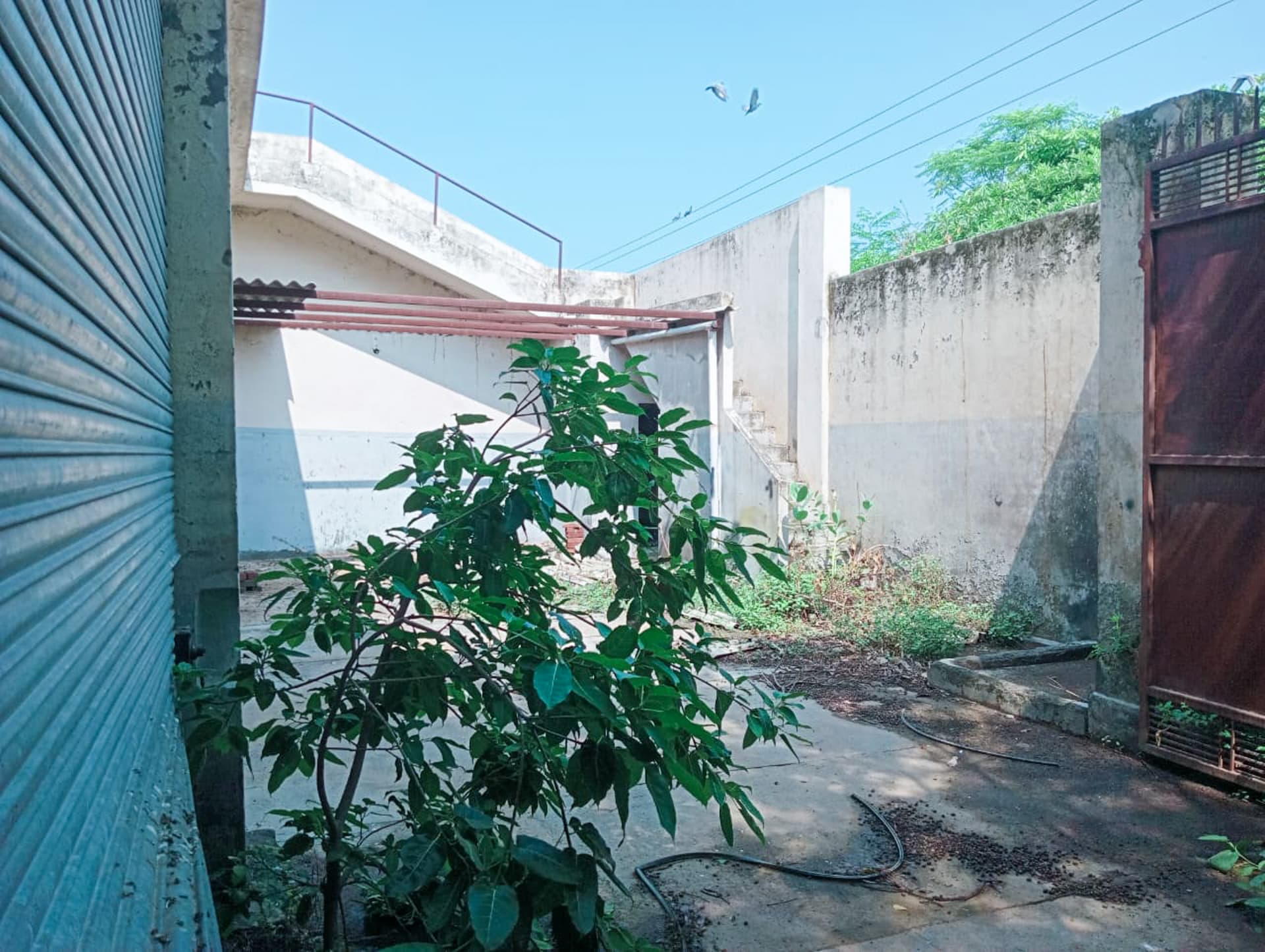 Property Photos 24