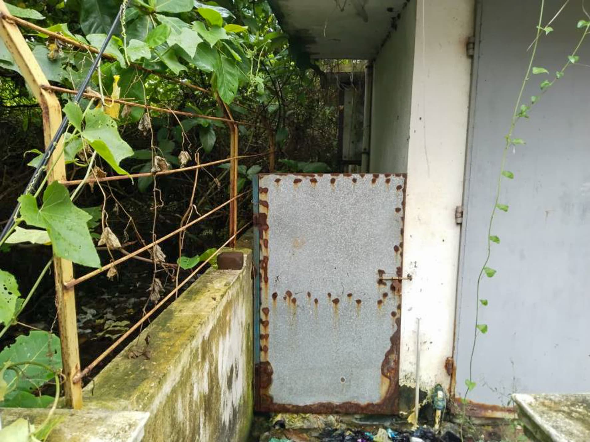 Property Photos 49