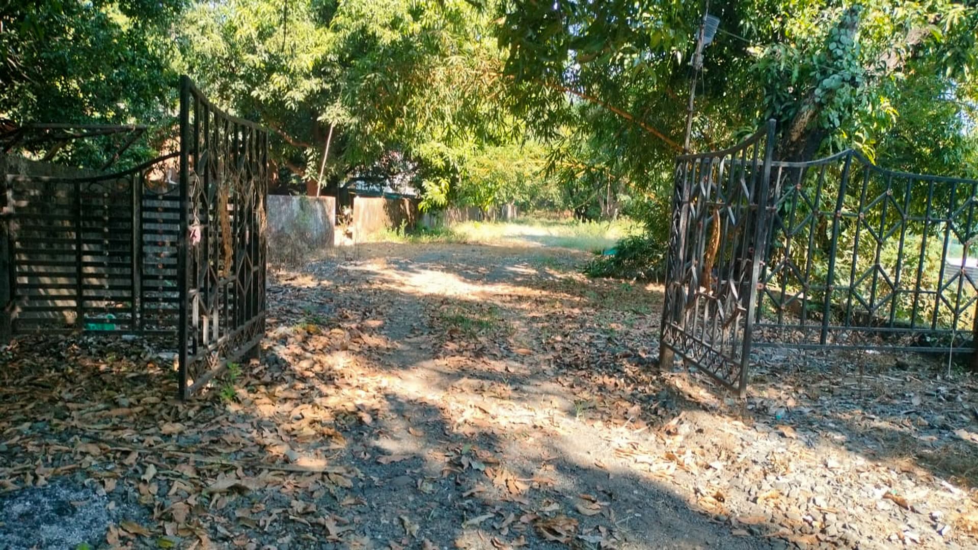 Property Photos 3