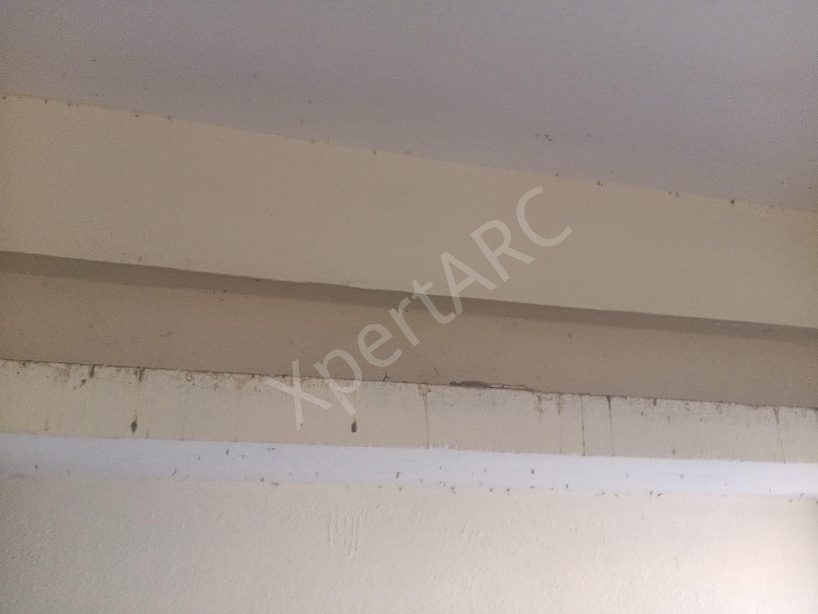 Property Photos 5