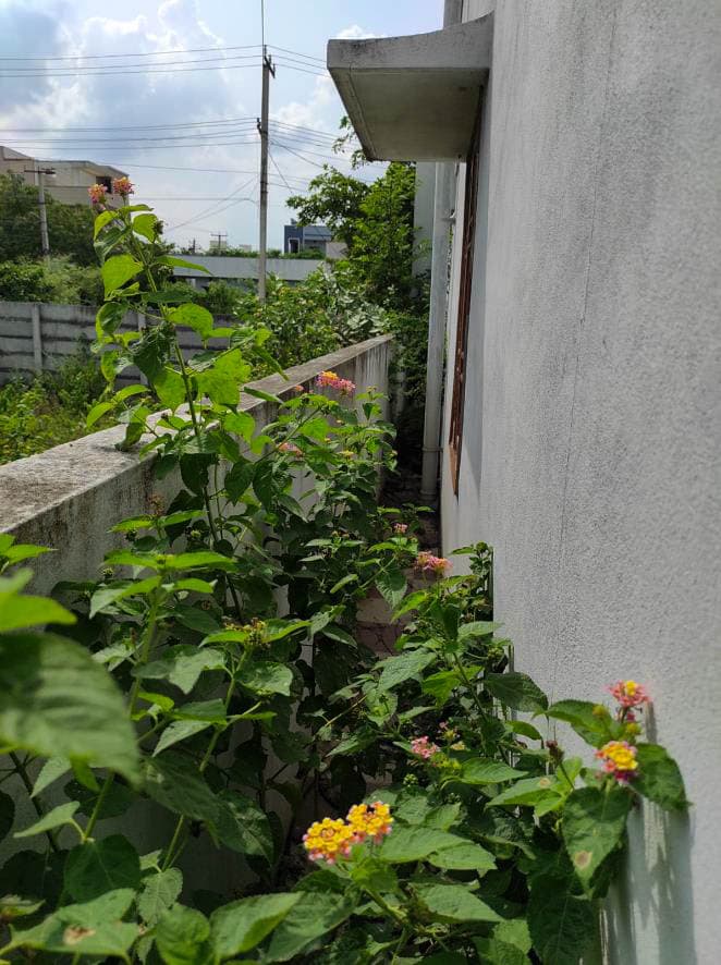 Property Photos 17