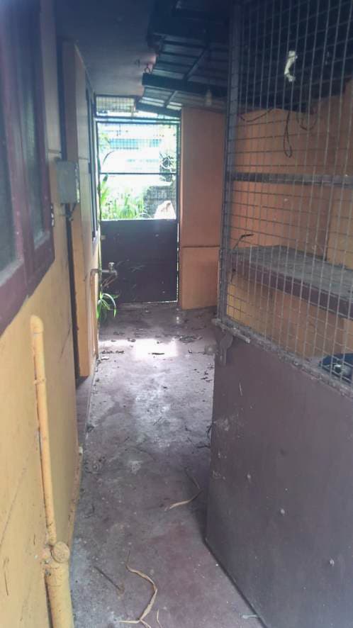 Property Photos 4