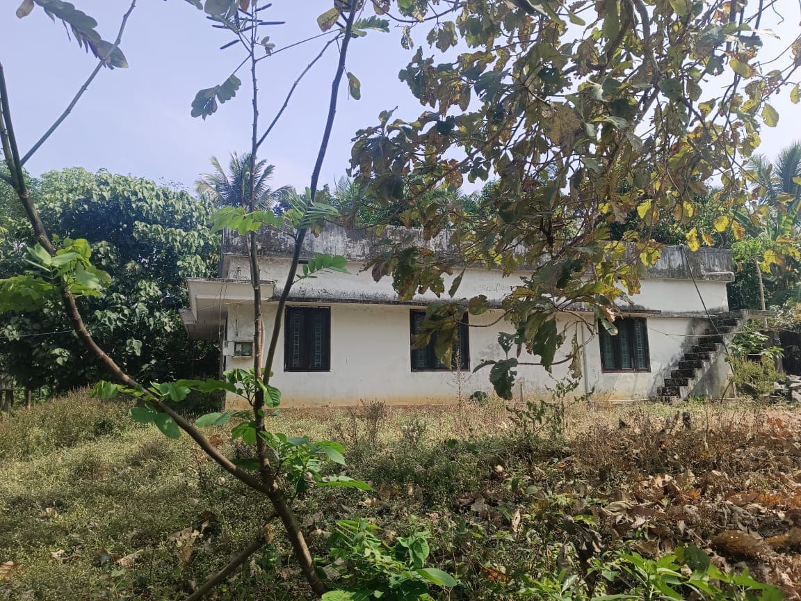 Property Photos 3