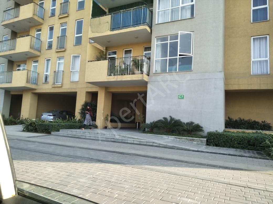 Property Photos 6