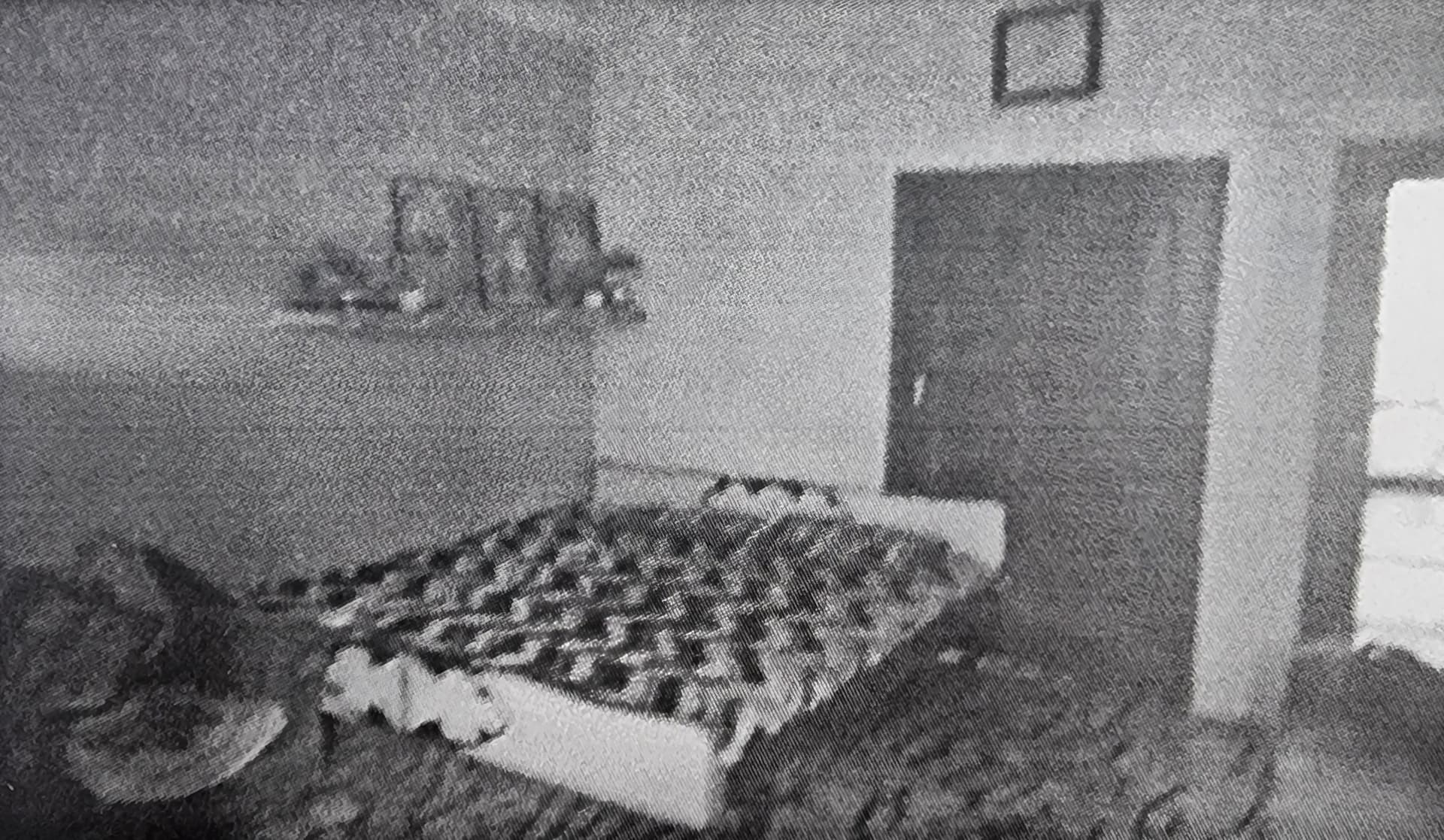 Property Photos 5