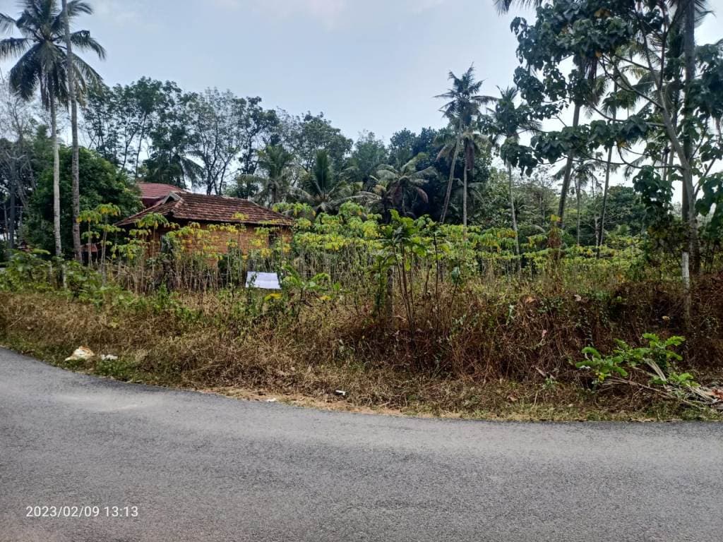 Property Photos 2