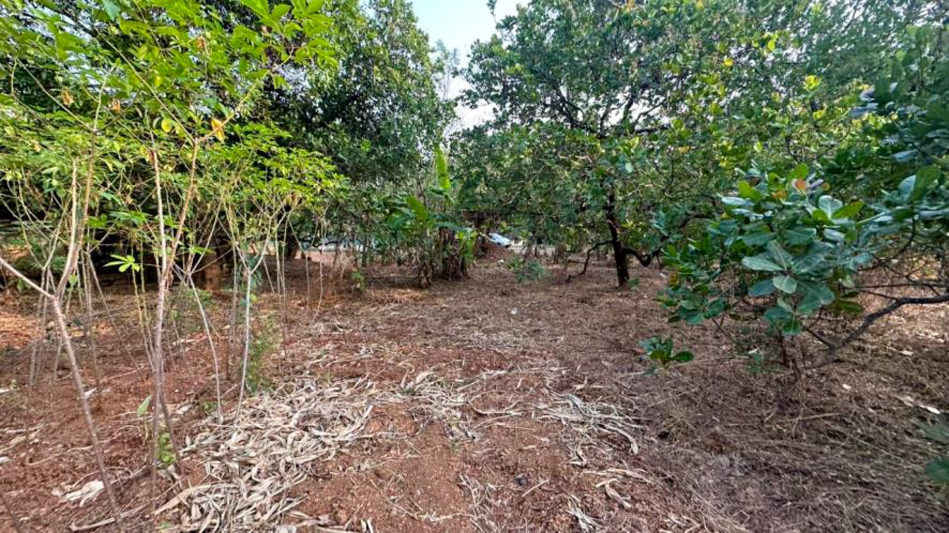 Property Photos 8