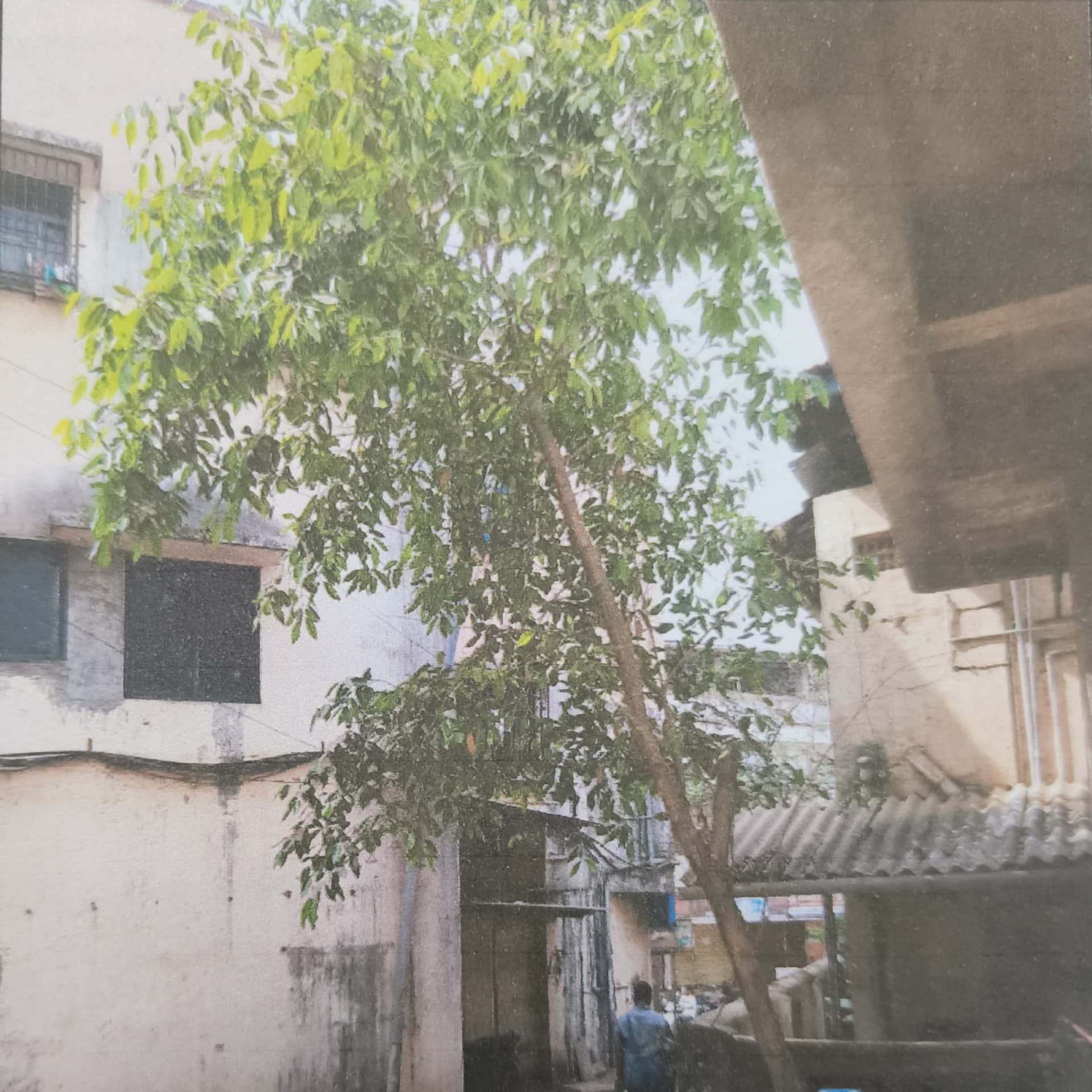 Property Photos 3