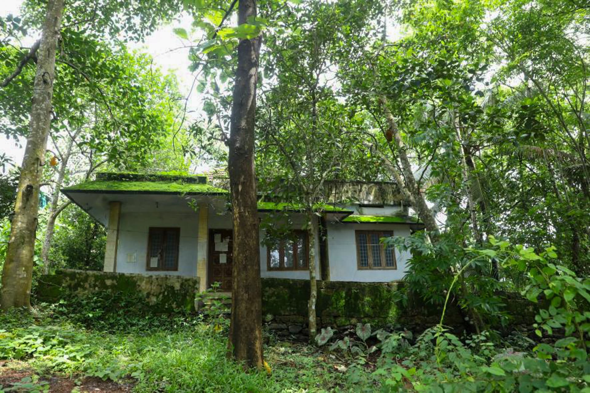 Property Photos 7