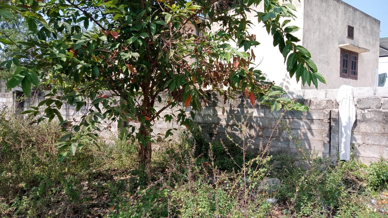 Property Photos 1