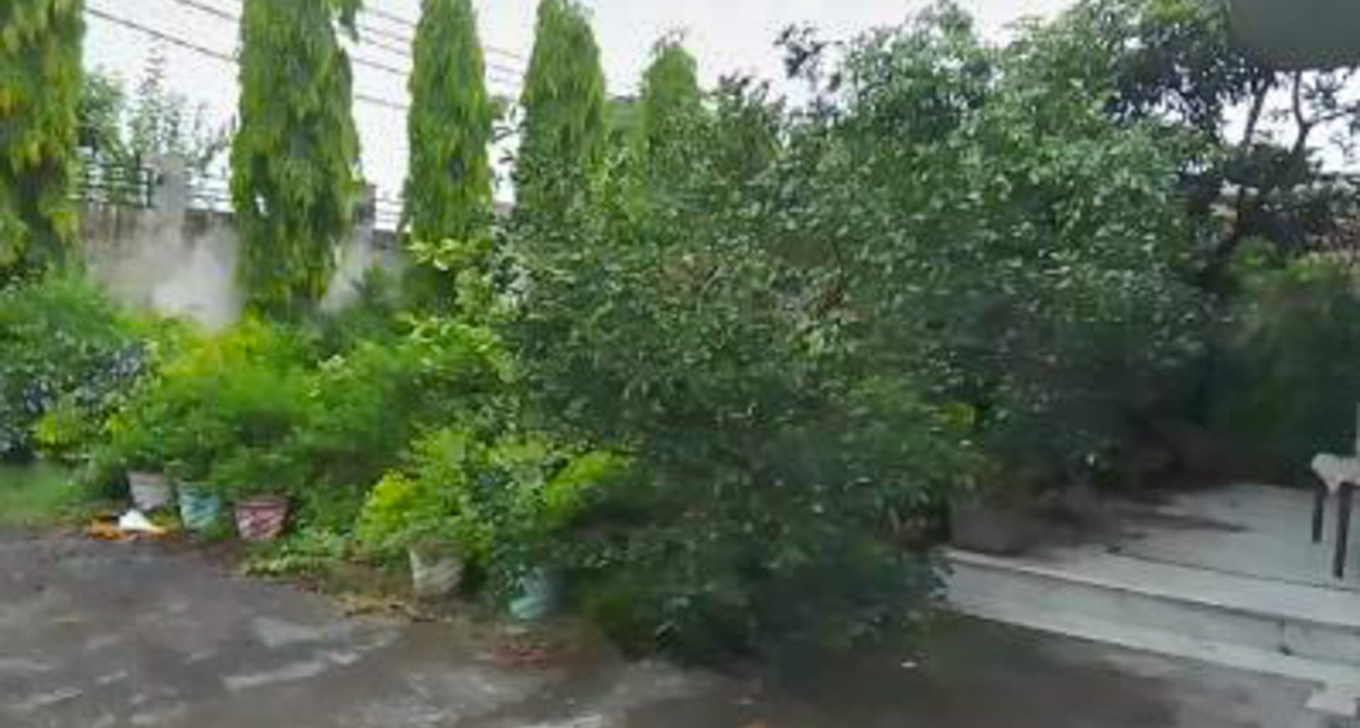 Property Photos 11