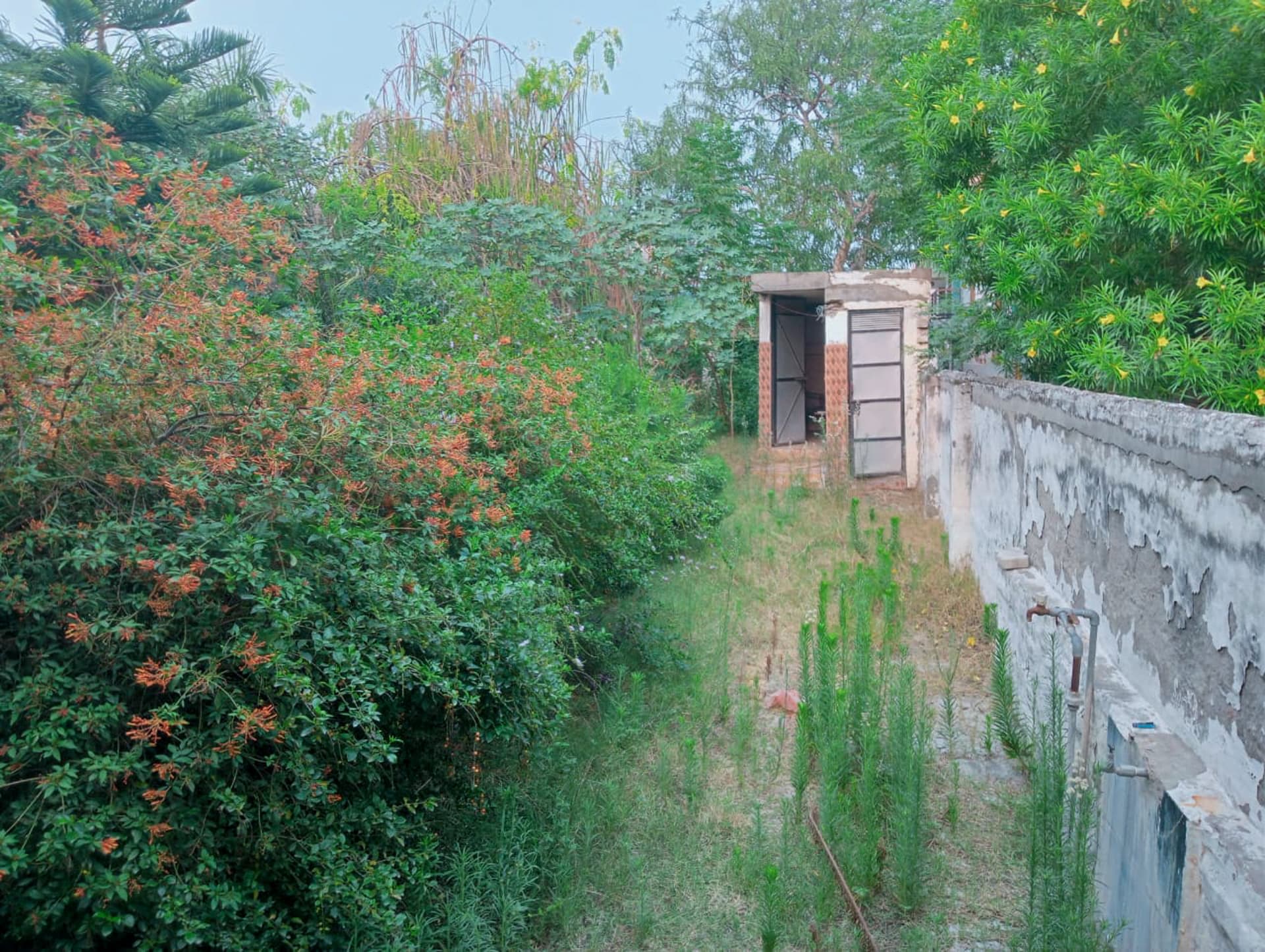 Property Photos 2