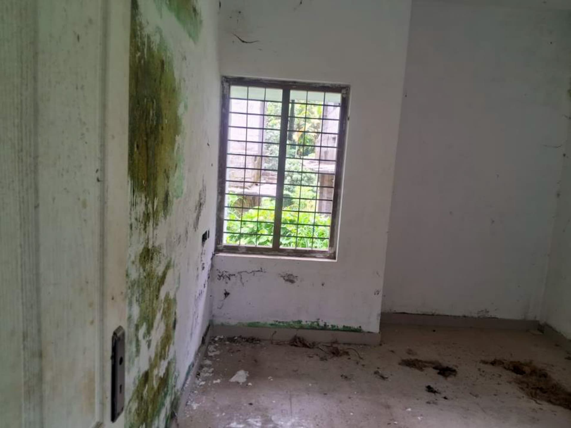 Property Photos 55