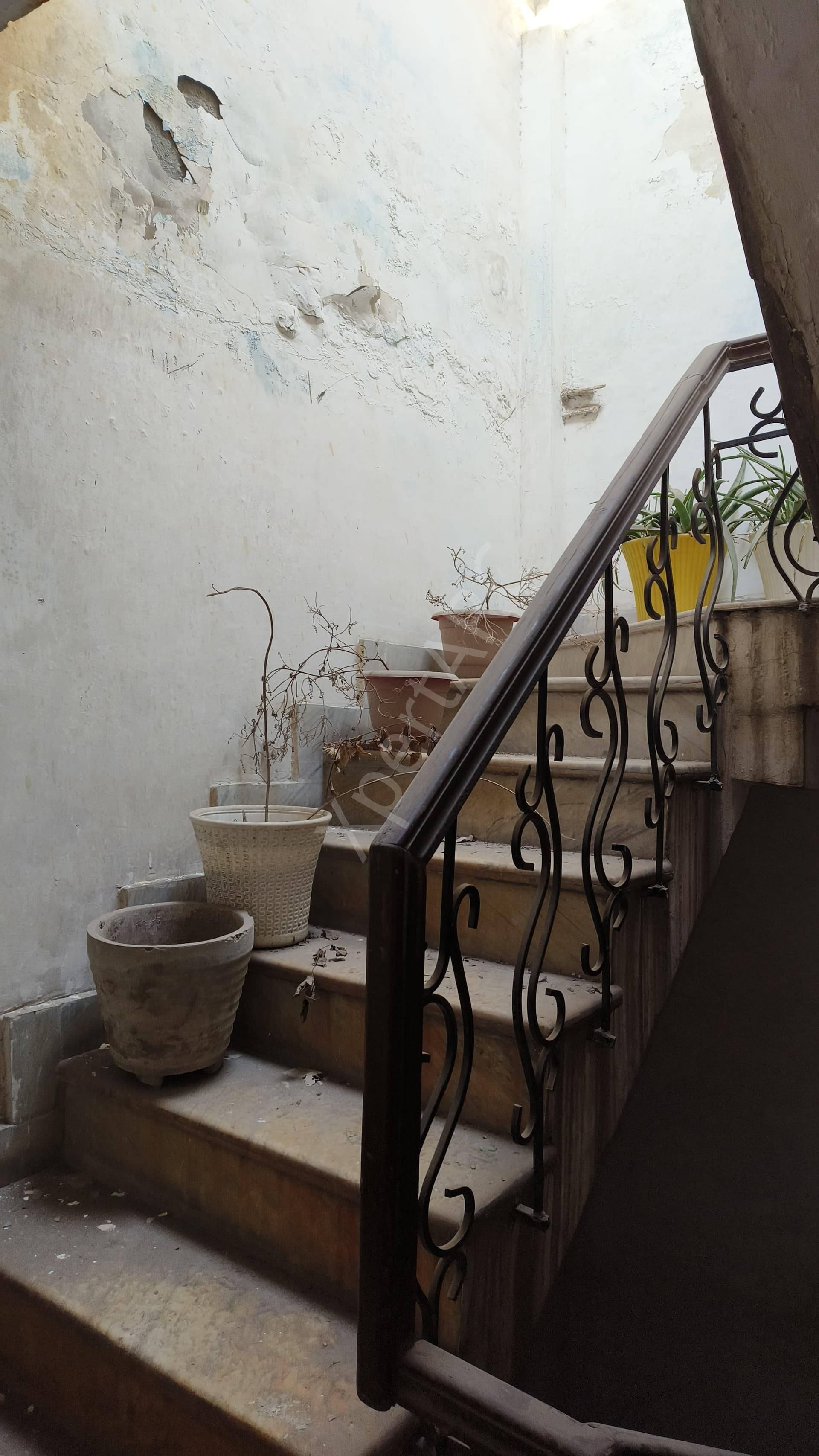 Property Photos 6