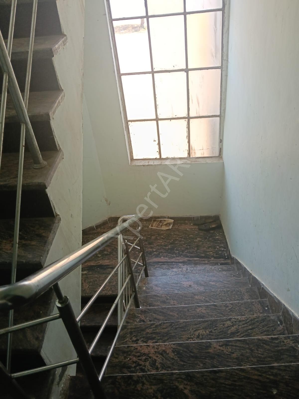 Property Photos 6