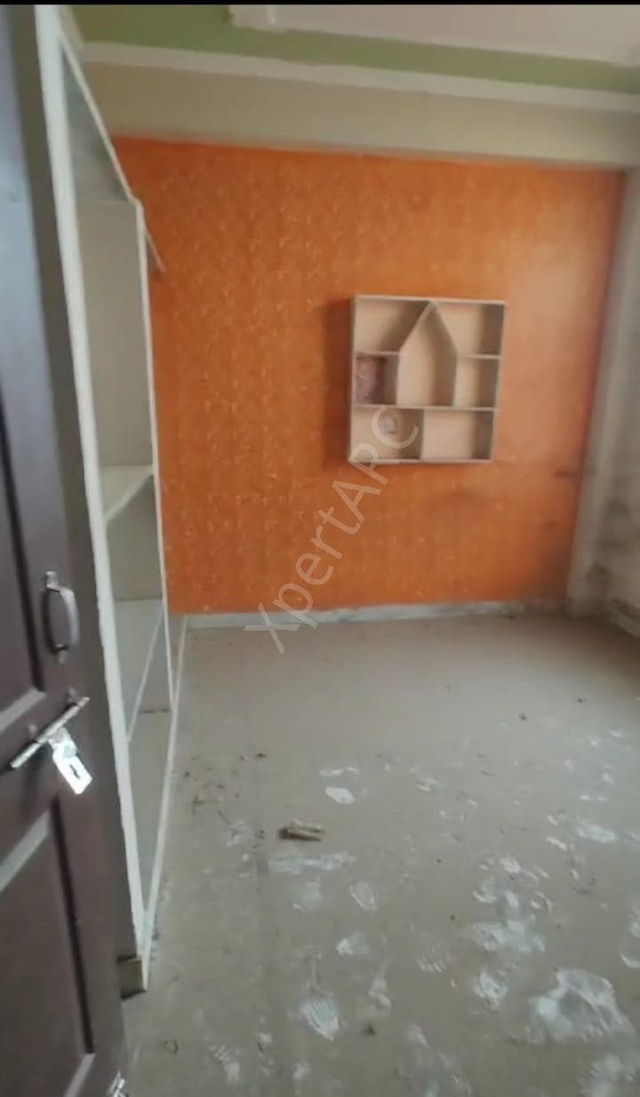 Property Photos 4