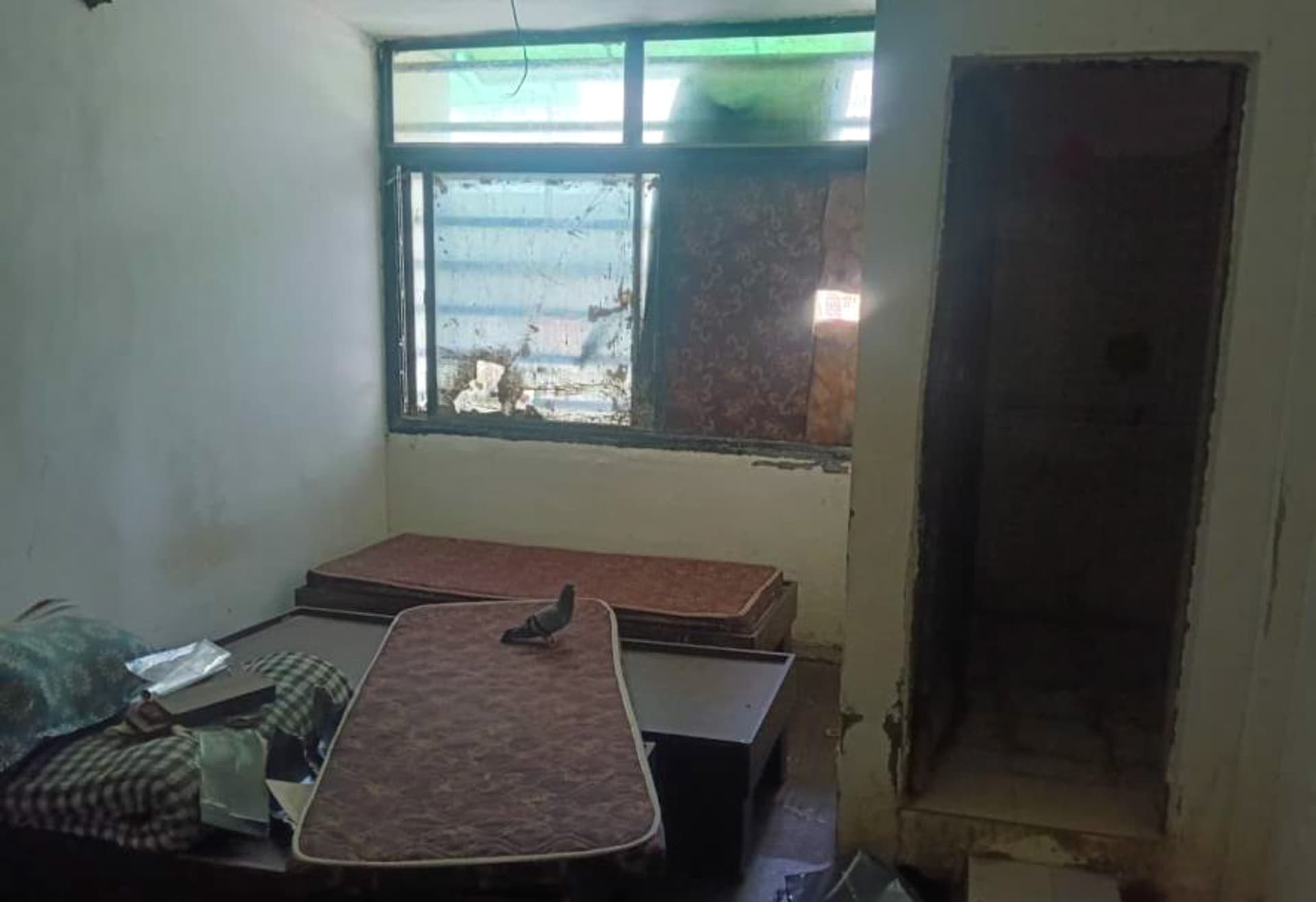 Property Photos 9