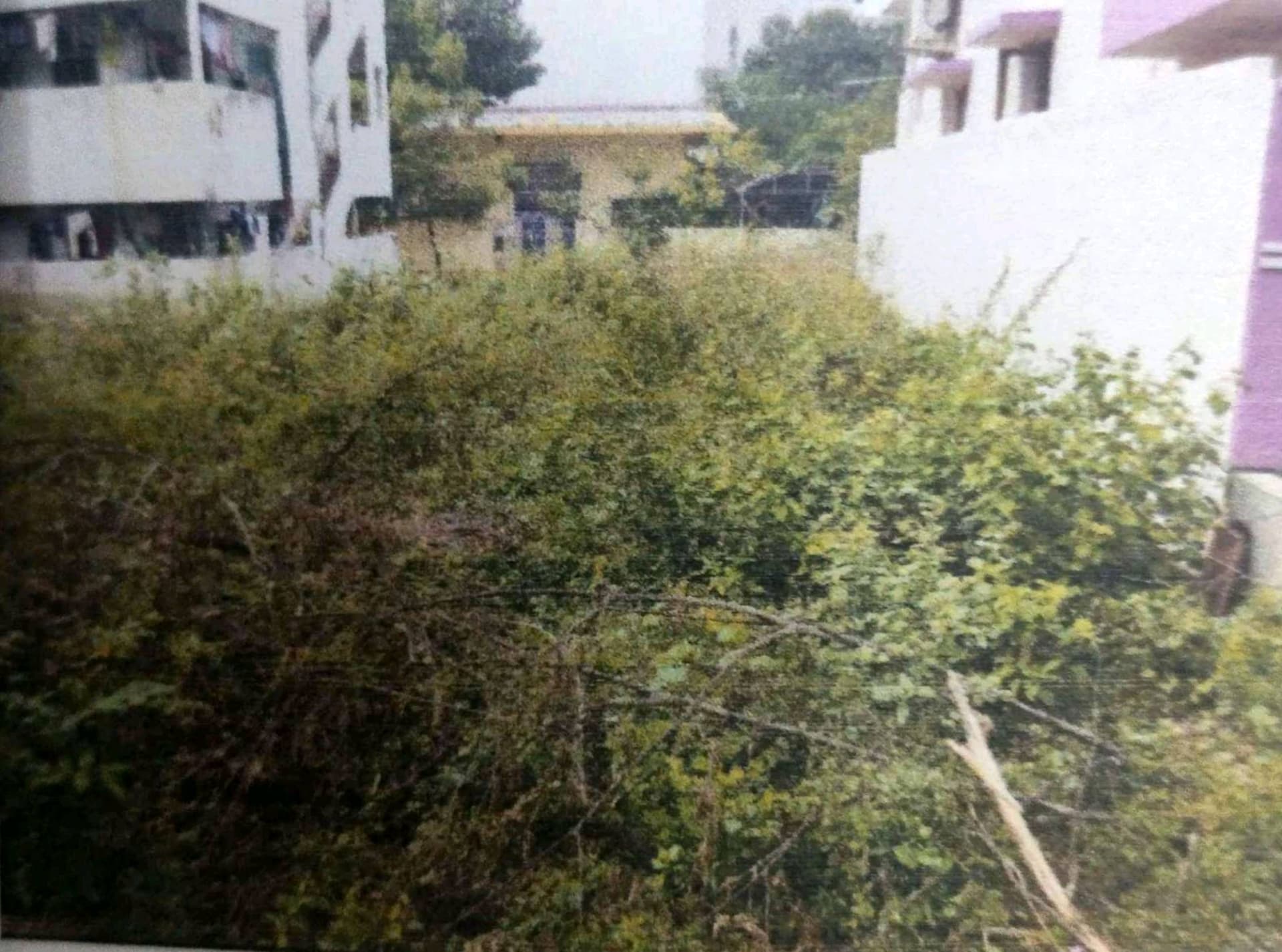 Property Photos 2