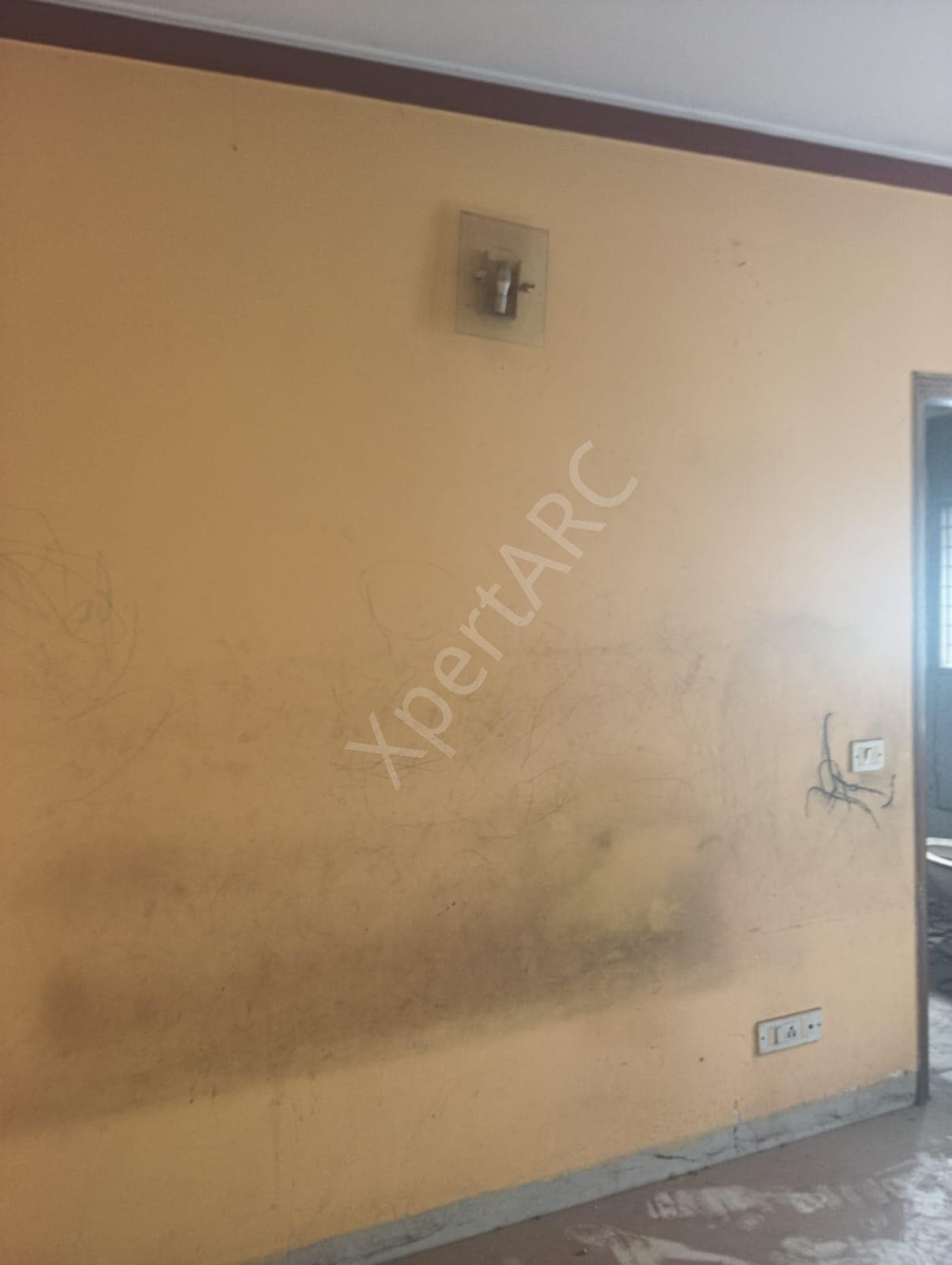 Property Photos 19