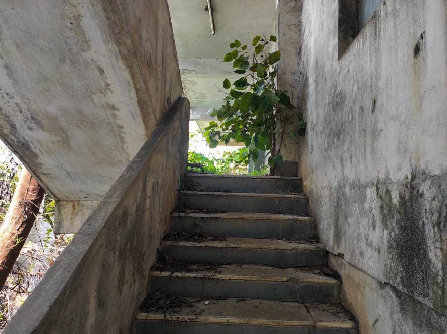 Property Photos 12