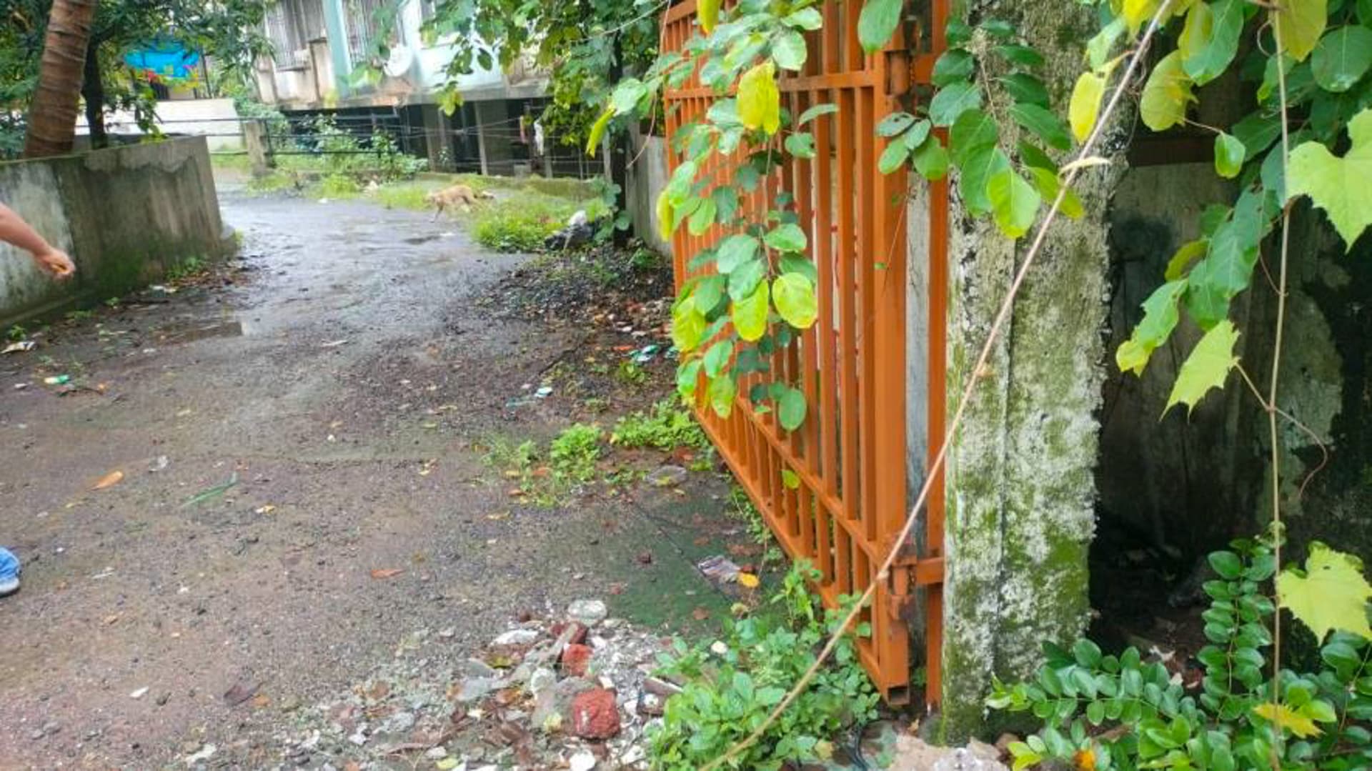 Property Photos 3