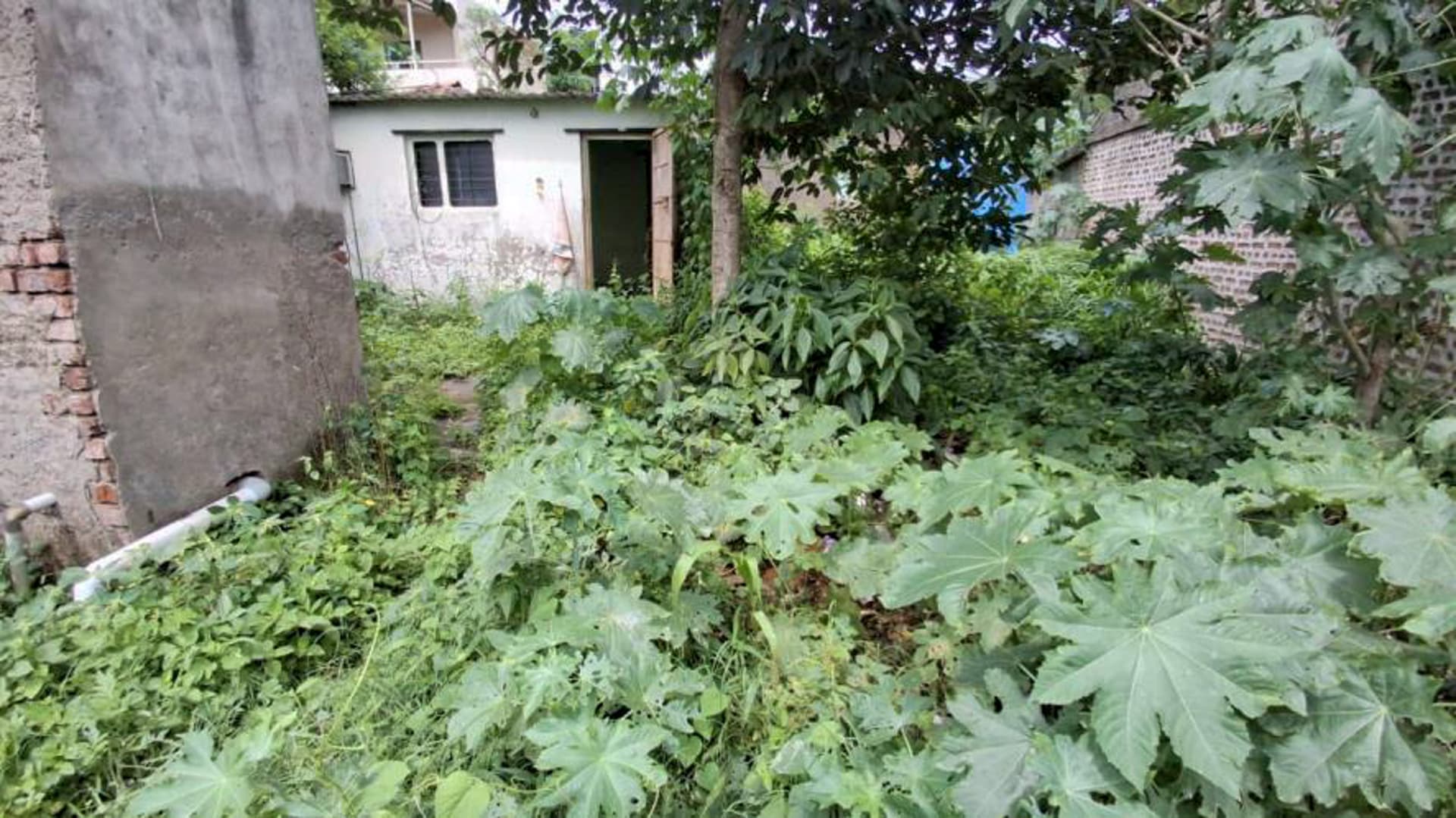 Property Photos 2