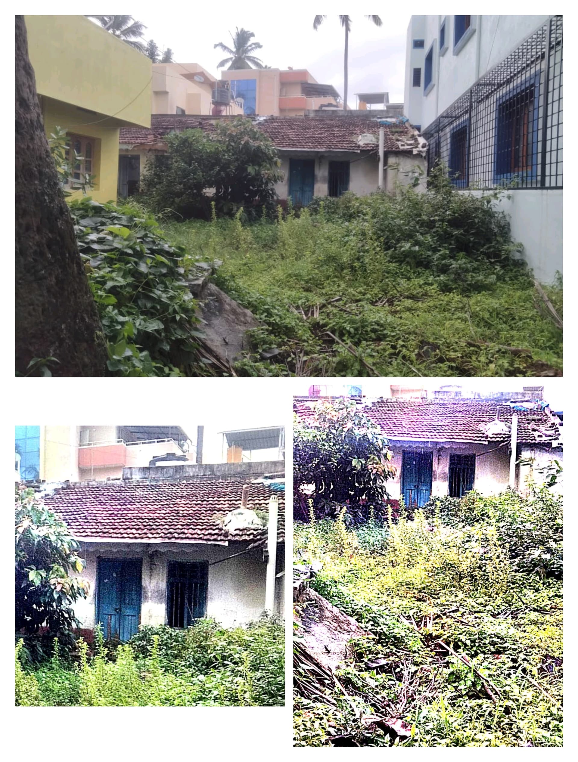 Property Photos 2