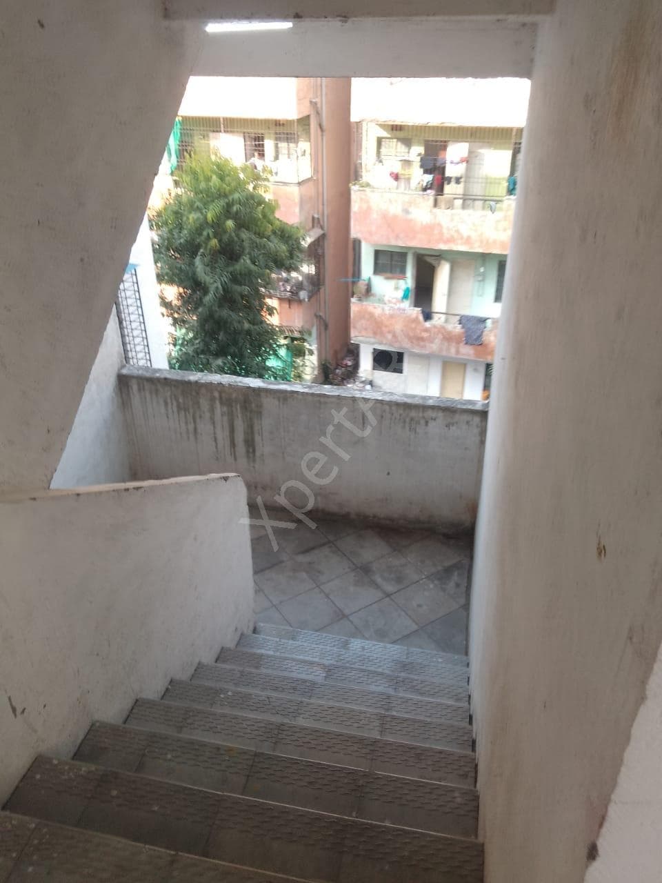 Property Photos 2