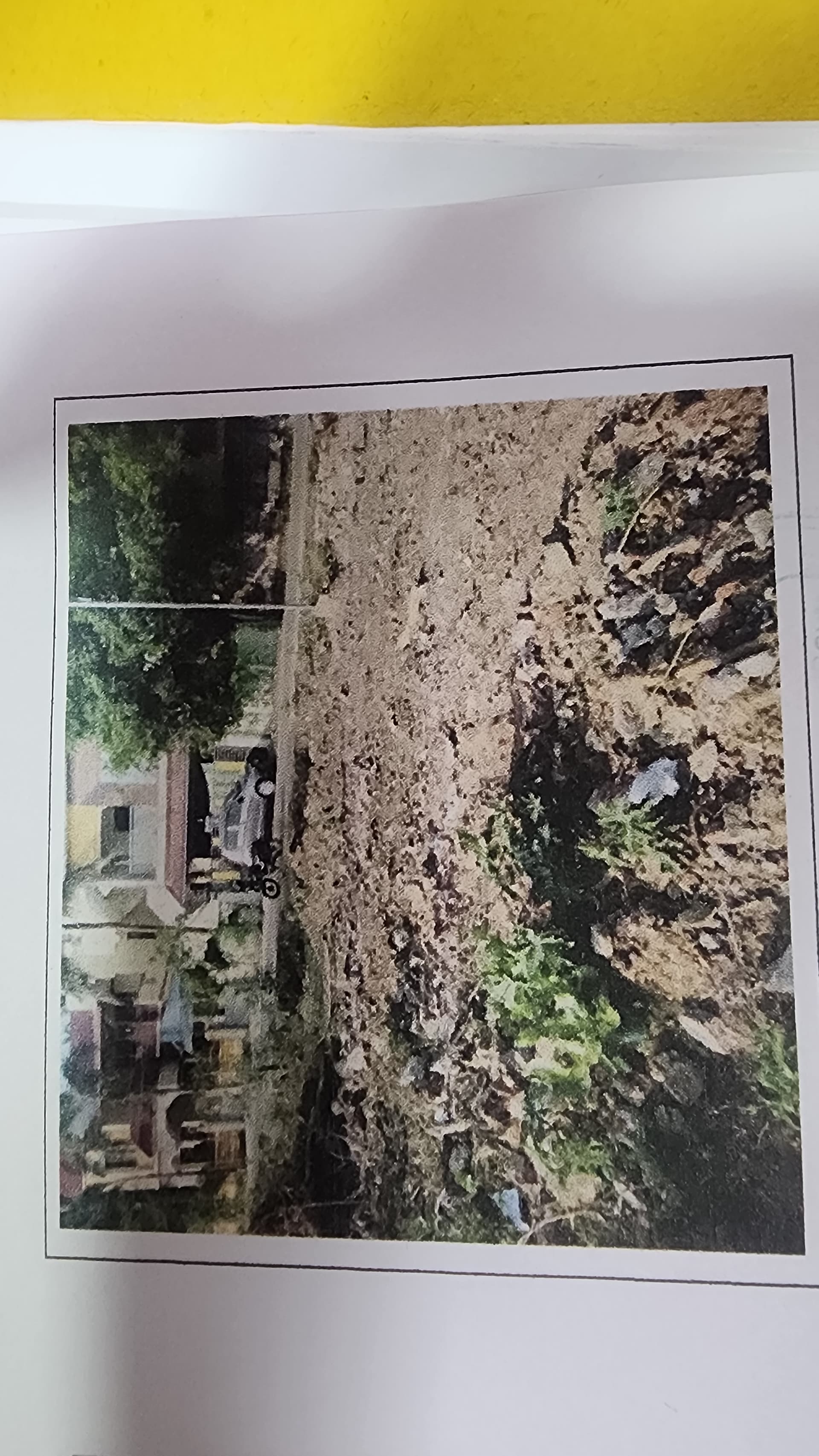 Property Photos 3