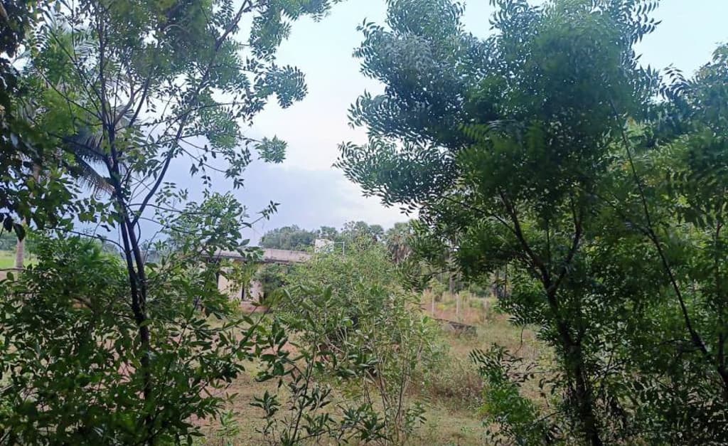 Property Photos 23