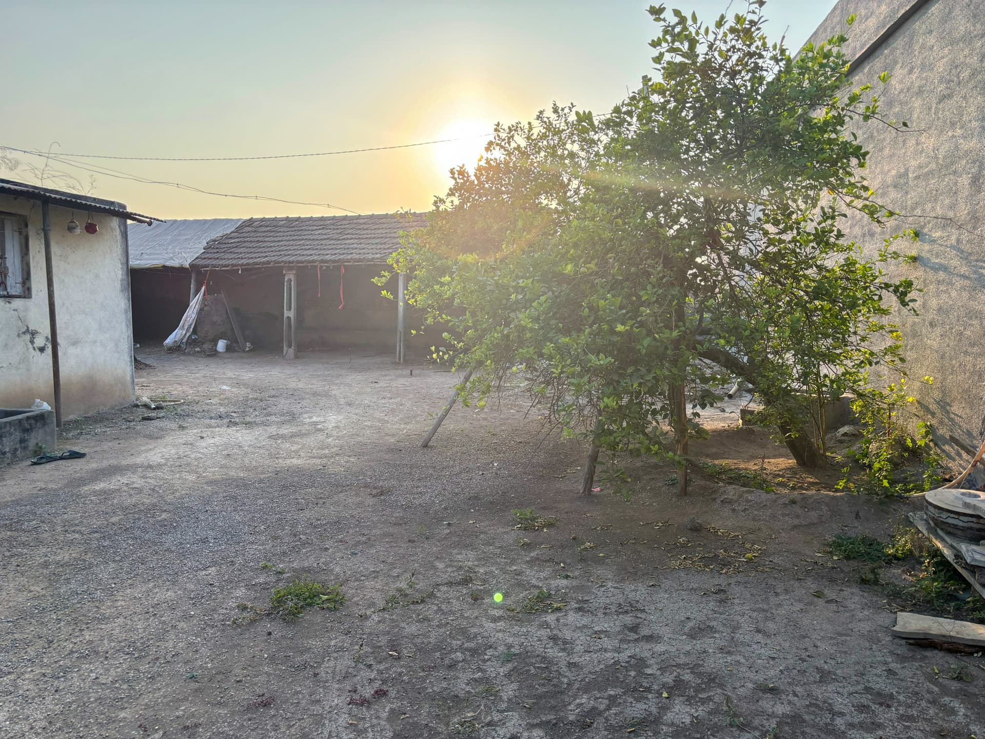 Property Photos 23