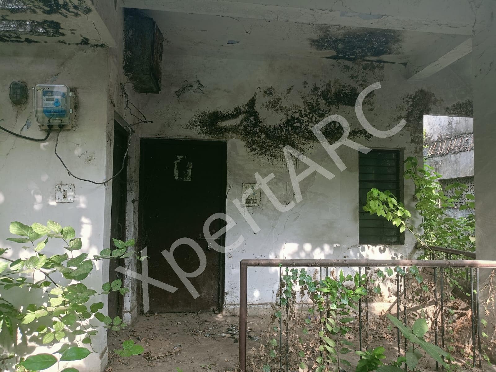Property Photos 4