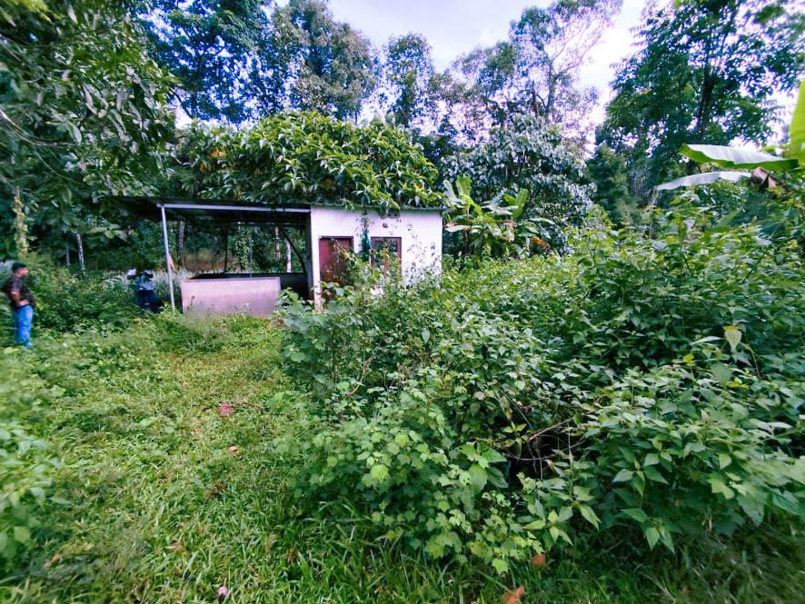 Property Photos 4