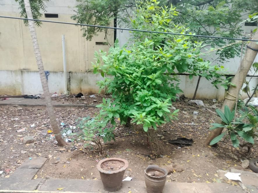 Property Photos 5