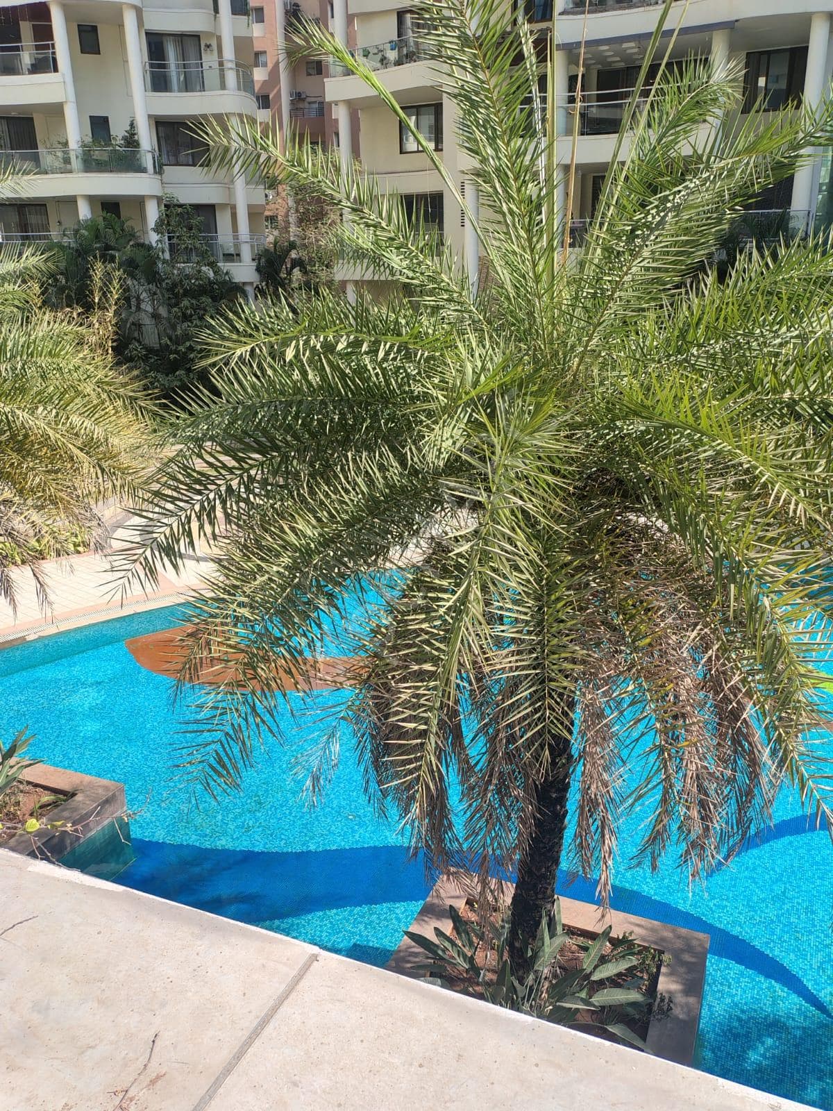 Property Photos 27