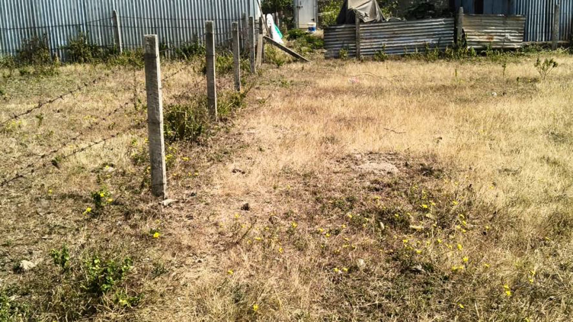 Property Photos 2