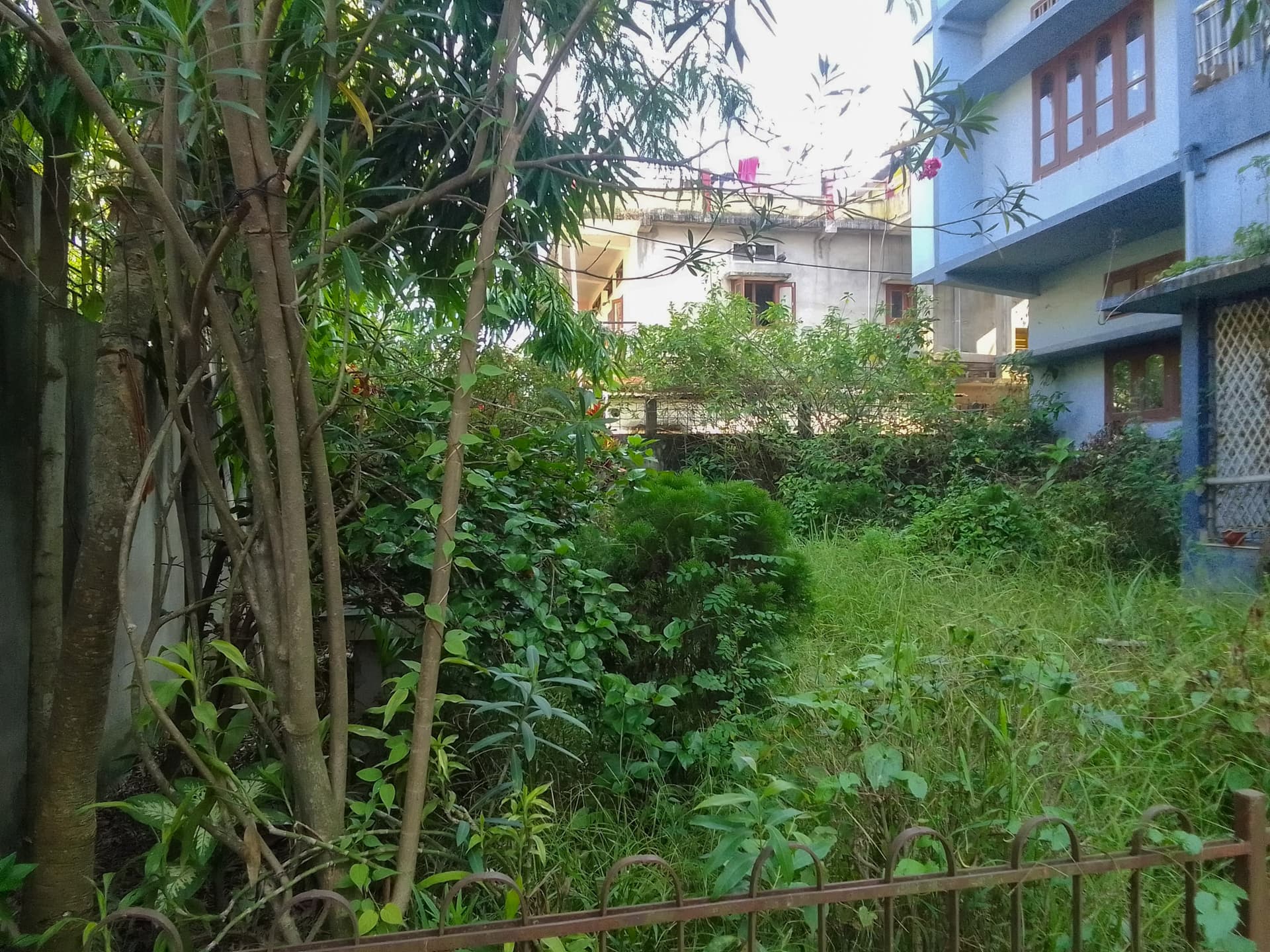 Property Photos 12