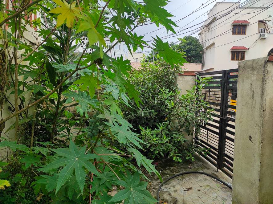 Property Photos 6