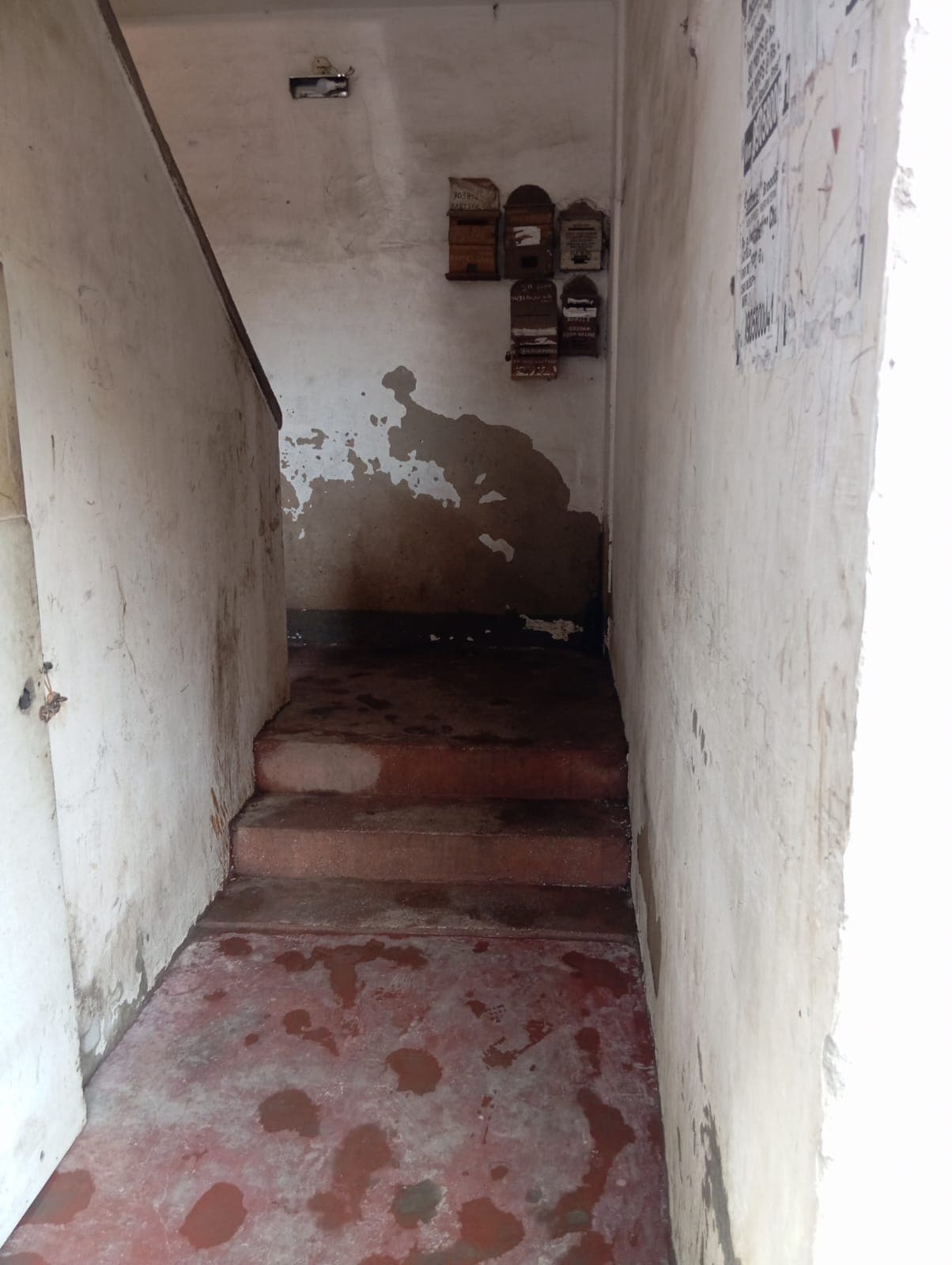 Property Photos 4