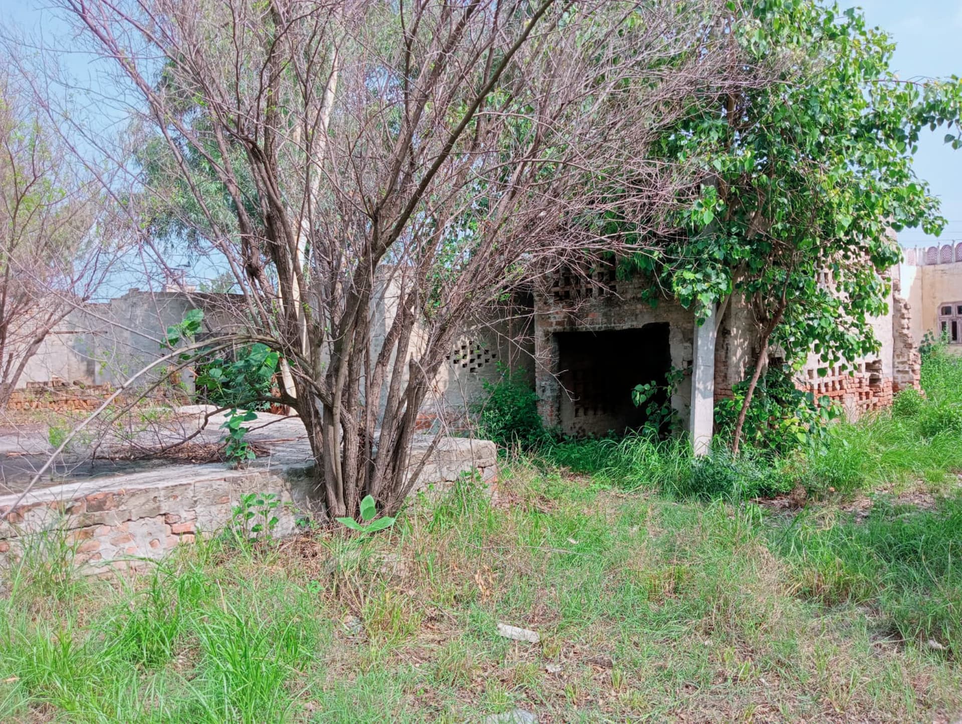 Property Photos 22