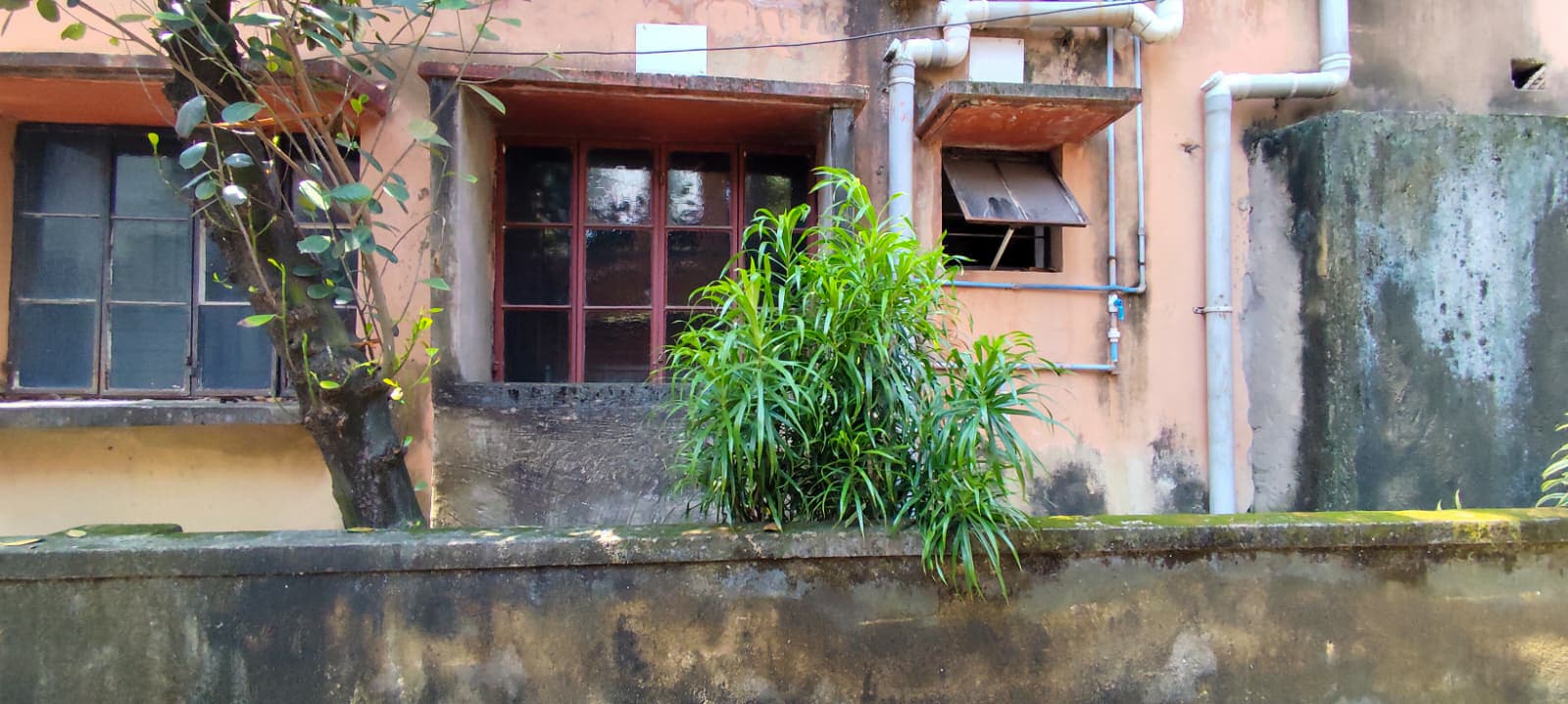 Property Photos 6