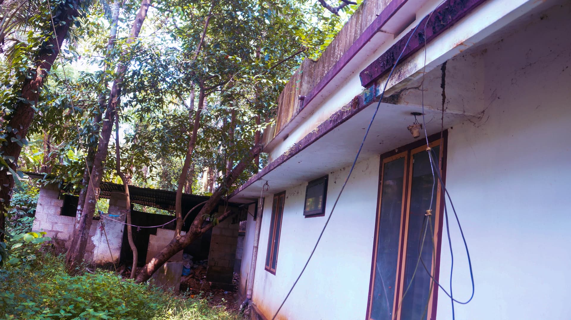 Property Photos 3