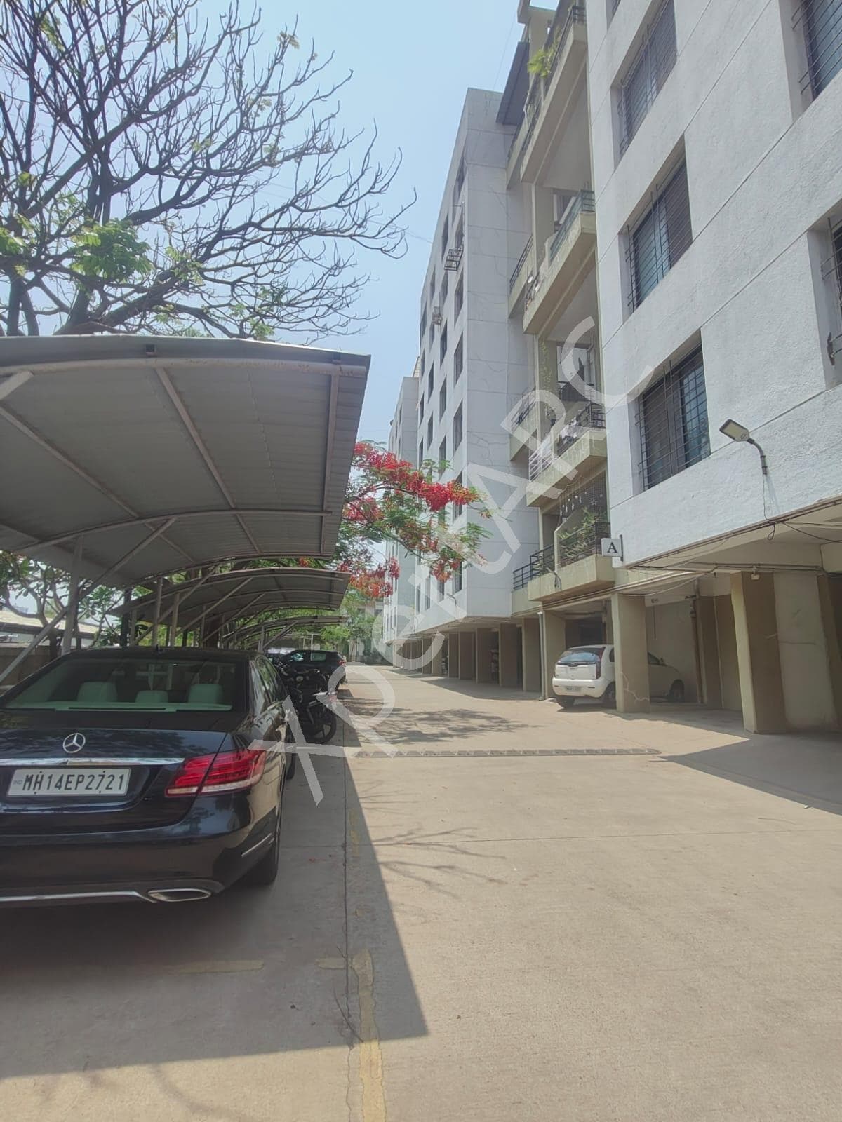 Property Photos 8
