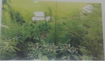 Property Photos 3