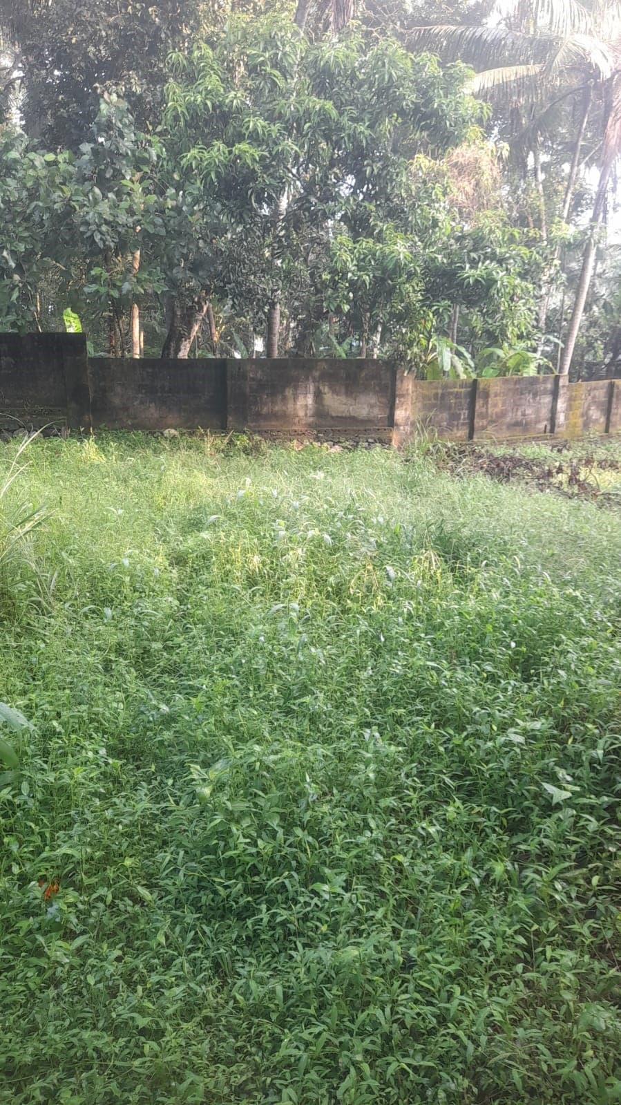 Property Photos 9