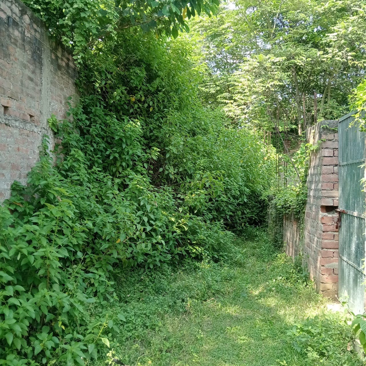 Property Photos 2